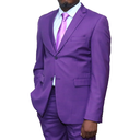 2 pc Regular Fit Purple Suit