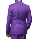 2 pc Regular Fit Purple Suit