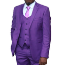 3 pc Purple Suit Regular Fit
