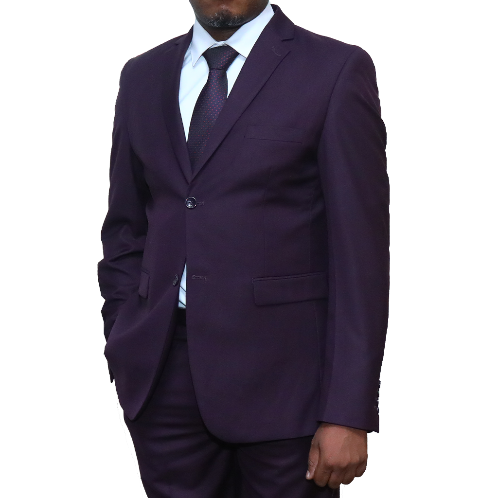 2 pc Purple Regular Fit Suit