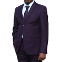 2 pc Purple Regular Fit Suit