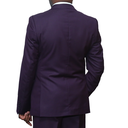 2 pc Purple Regular Fit Suit