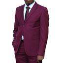 Maroon Regular Fit 2 pc suit