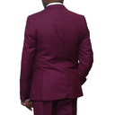 Maroon Regular Fit 2 pc suit