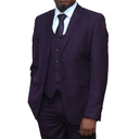 Purple Suit 3 pc Regular Fit