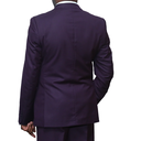 Purple Suit 3 pc Regular Fit