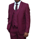 Maroon 3 pc suit Regular Fit