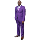 2 pc Regular Fit Purple Suit