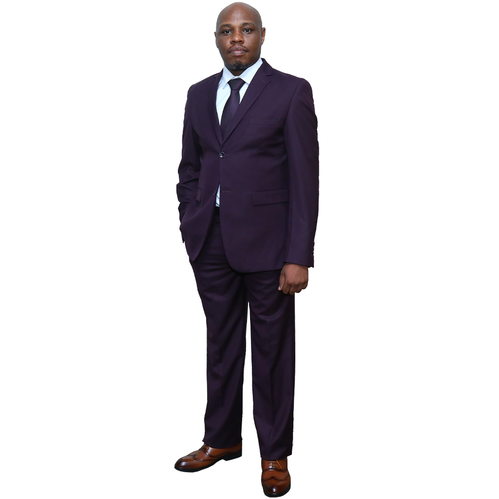 2 pc Purple Regular Fit Suit