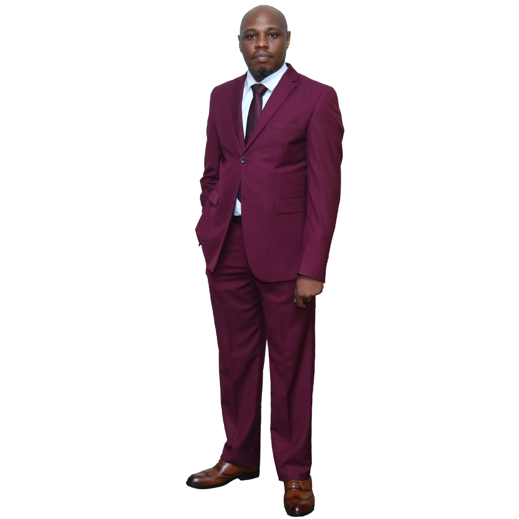 Maroon Regular Fit 2 pc suit