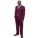 Maroon Regular Fit 2 pc suit