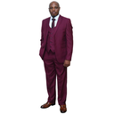 Maroon 3 pc suit Regular Fit