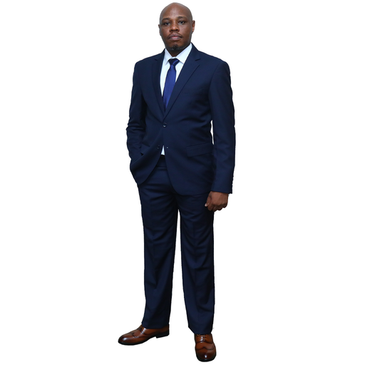 Navy Blue Regular Fit Suit