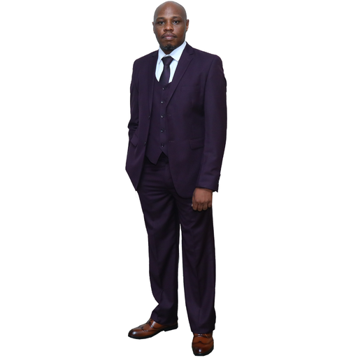 Purple Suit 3 pc Regular Fit