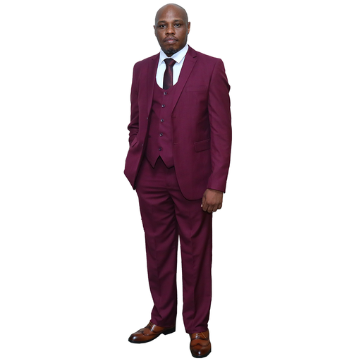 Maroon 3 pc suit Regular Fit